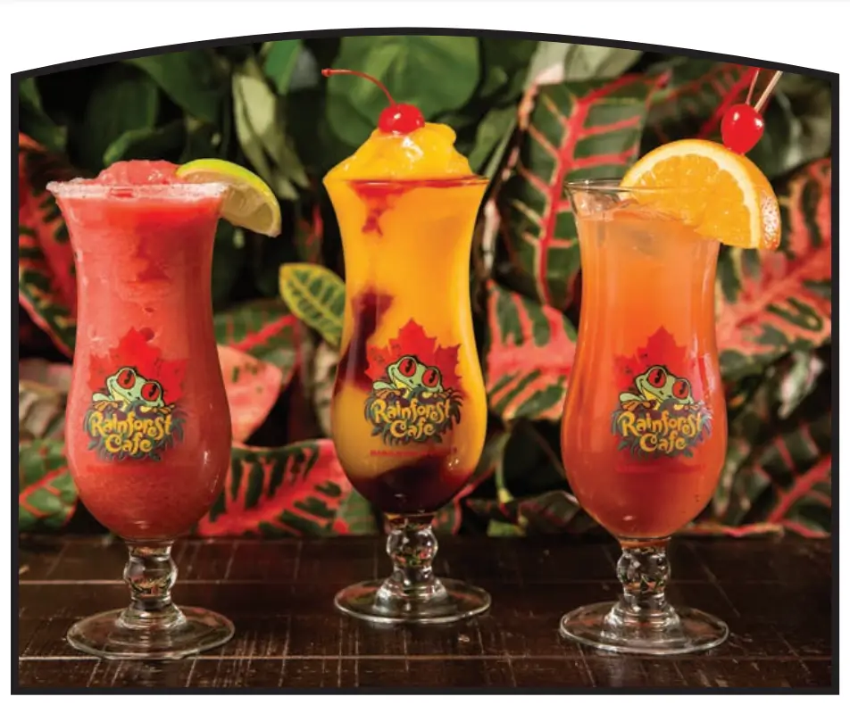 Rainforest Cafe Drinks Menu USA